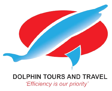 Dolphin Tours & Travel Logo
