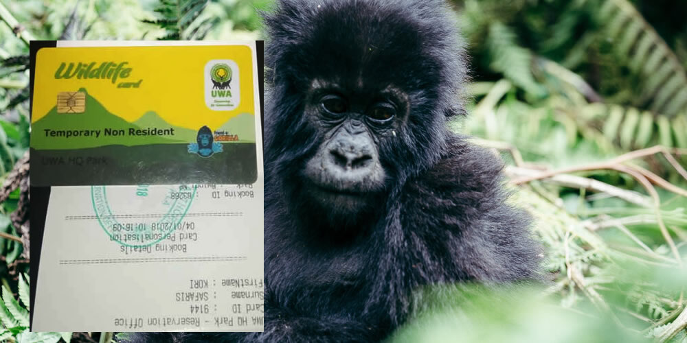 gorilla permits 
